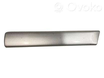Fender decorative trim (molding)