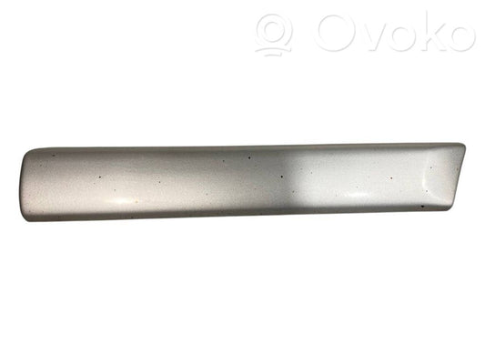Fender decorative trim (molding)
