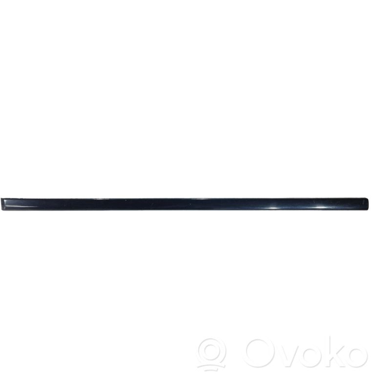 Aizmugurē durvju dekoratīvā apdare (moldings)