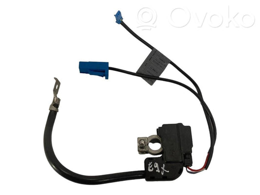 Negative wire (battery)