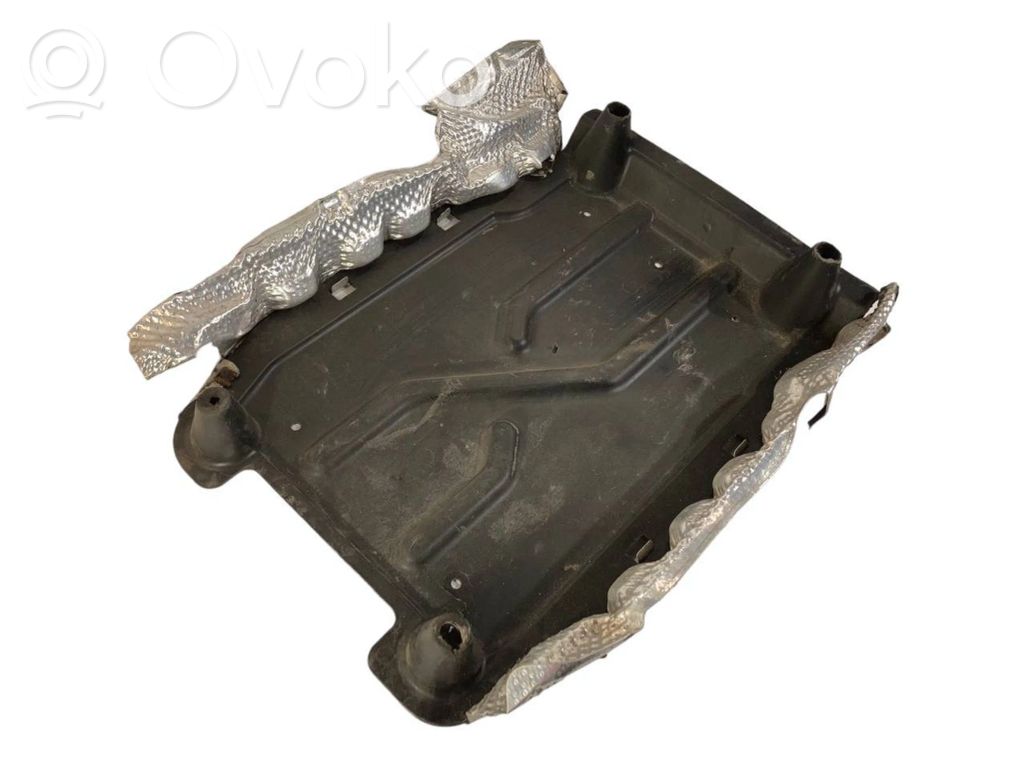 Under engine guard (front)