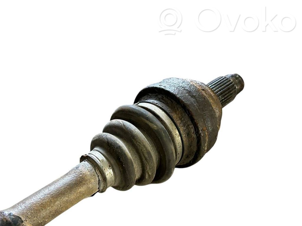 Aizmugurējā pusass