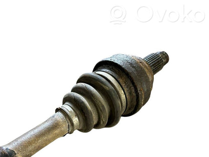 Aizmugurējā pusass