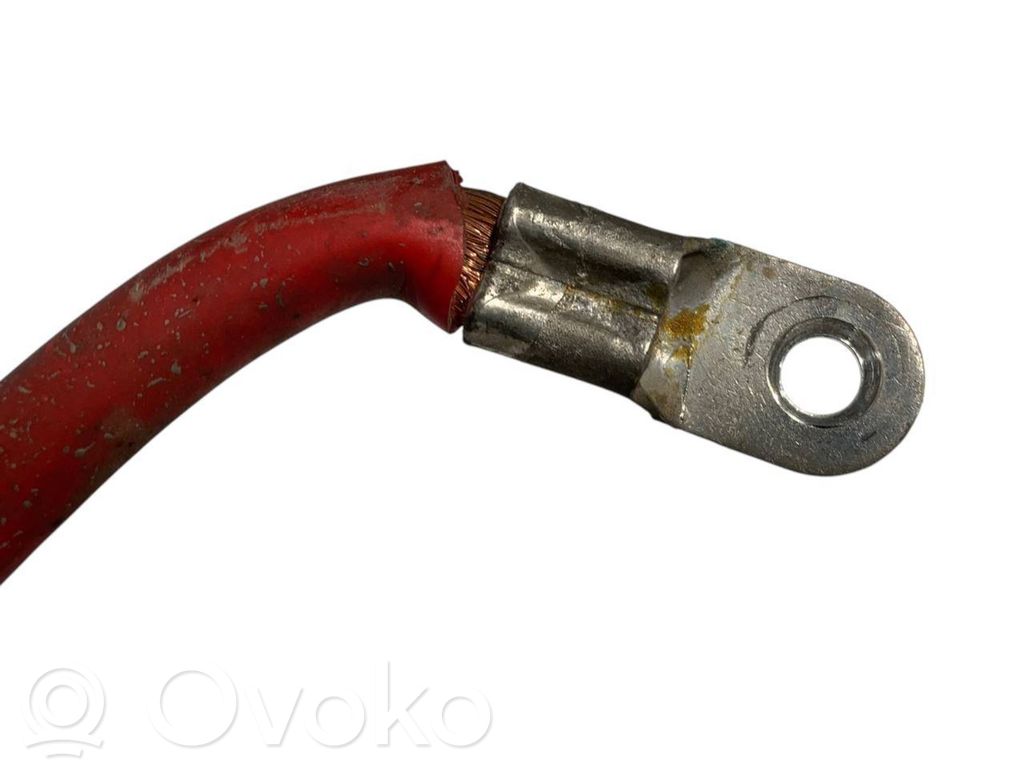 Plusa vads (akumulatora)