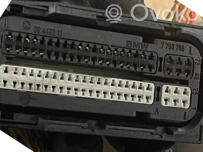Engine wiring harness