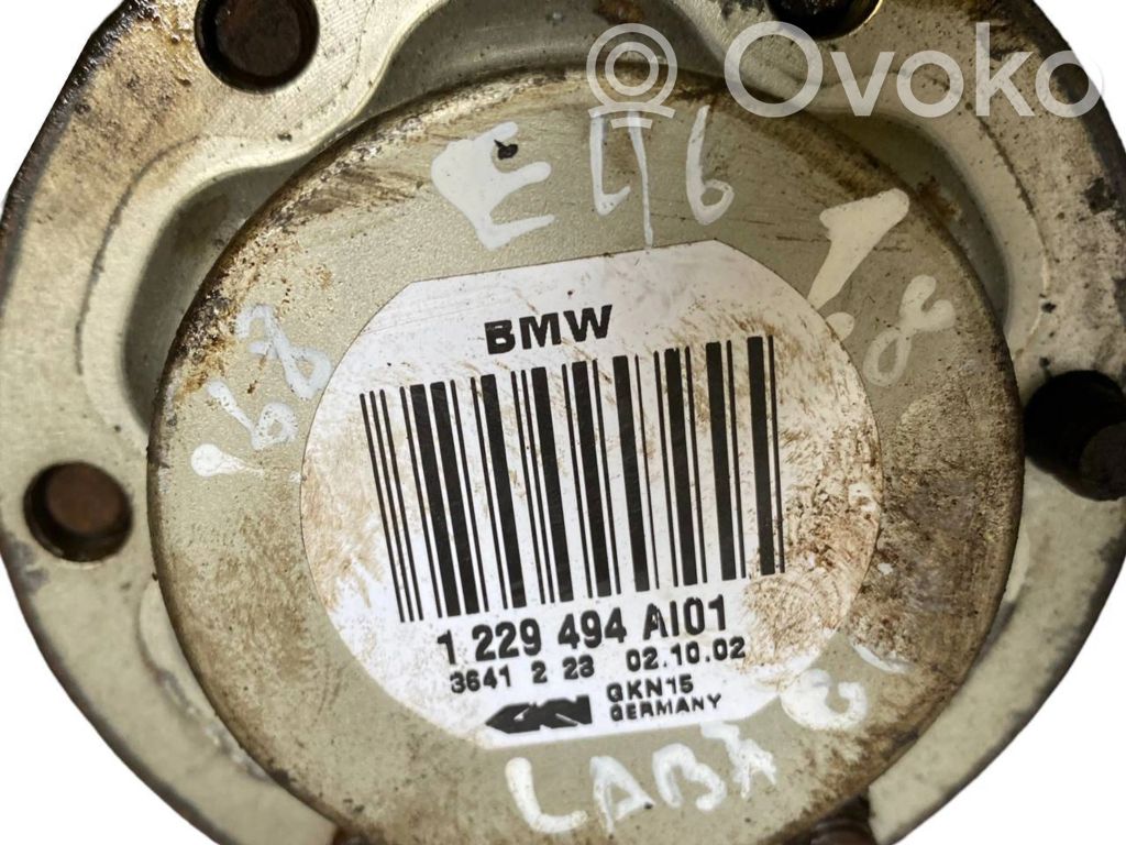 Aizmugurējā pusass