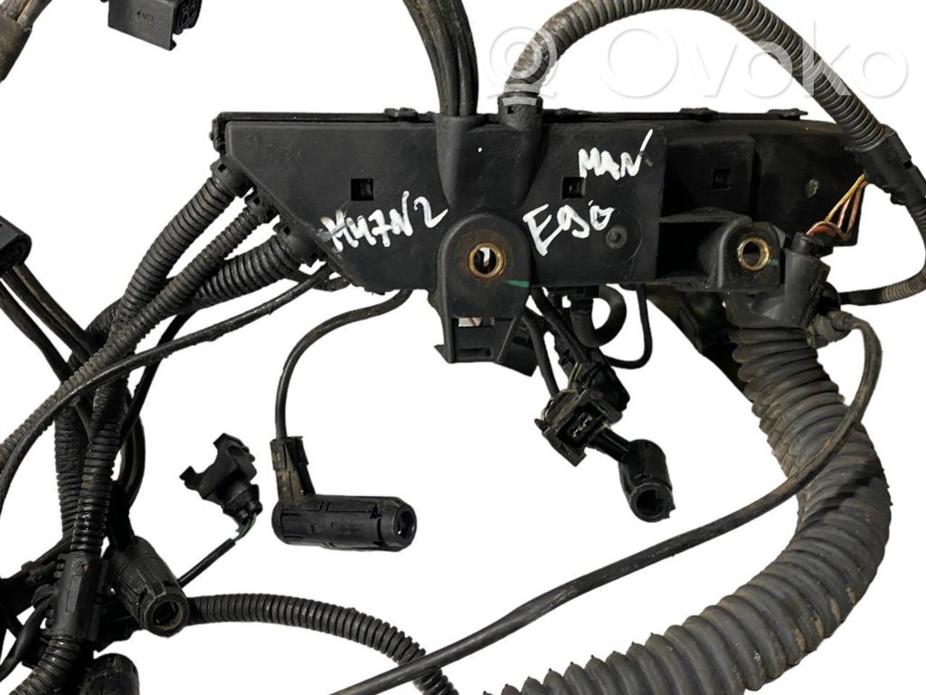 Engine wiring harness