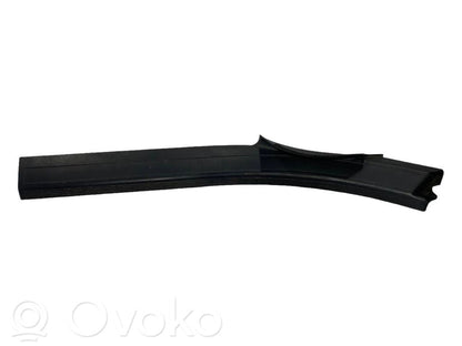 Rear door sill trim (inner)