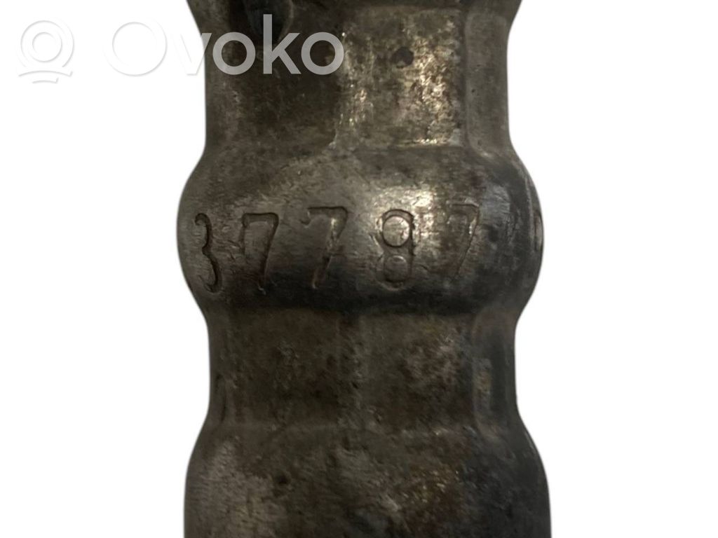 Caurule (-es) / šļūtene (-es)