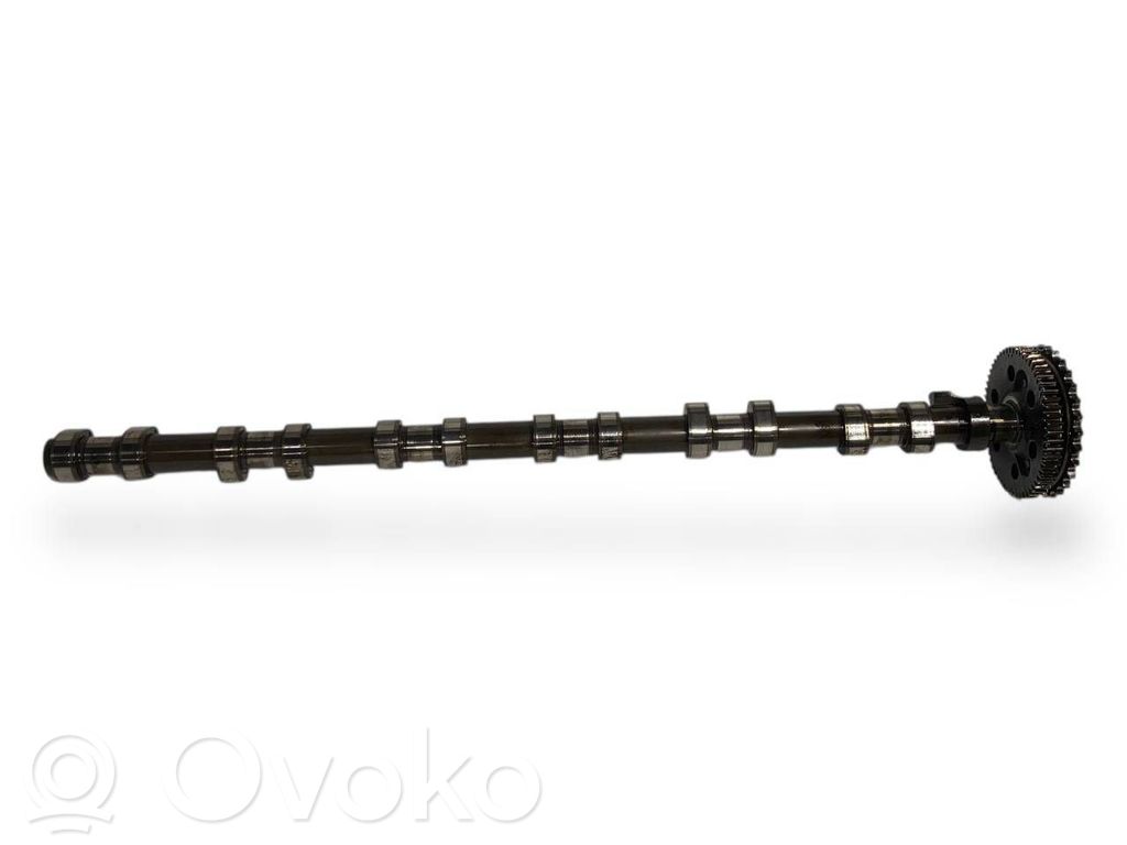 Sadales vārpsta