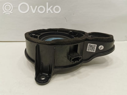 Speaker(s) in front door