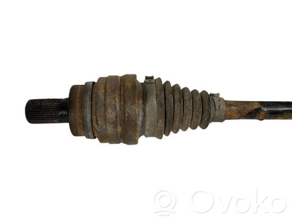 Aizmugurējā pusass