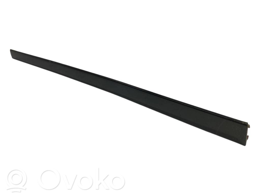 Aizmugurē durvju dekoratīvā apdare (moldings)