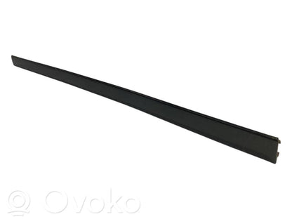 Aizmugurē durvju dekoratīvā apdare (moldings)