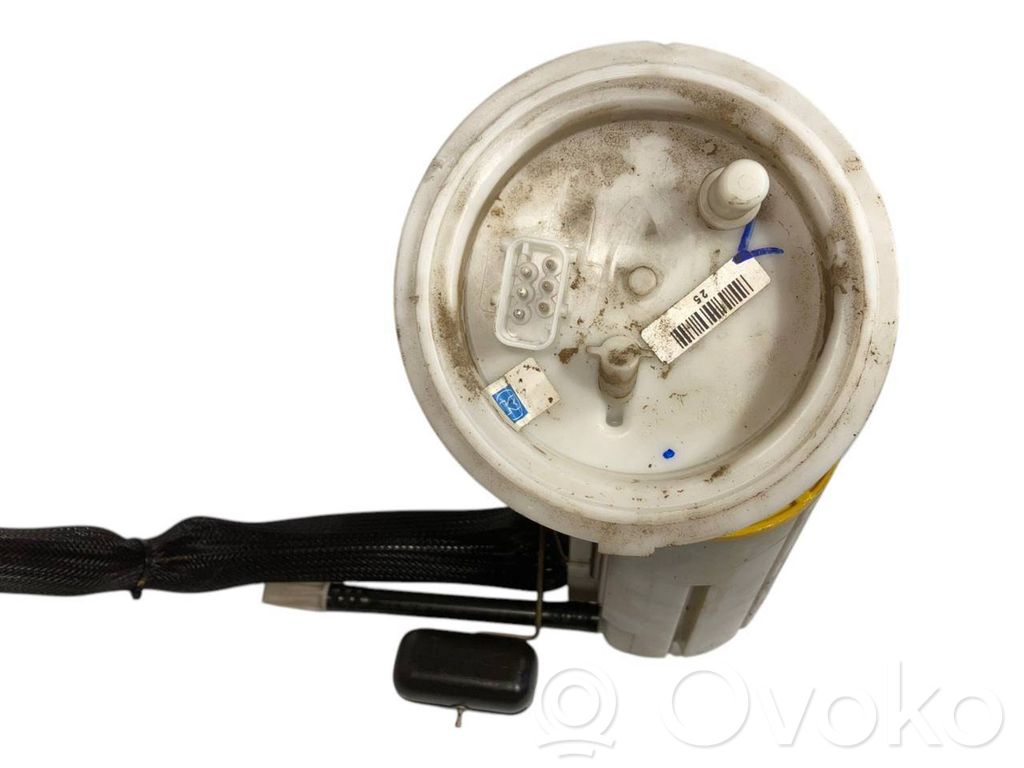 Fuel pump (in the fuel tank)