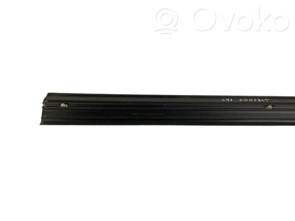 Front sill trim (inner)
