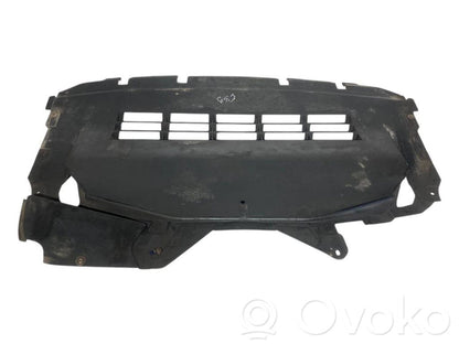 Dzinēja apakšas aizsargs