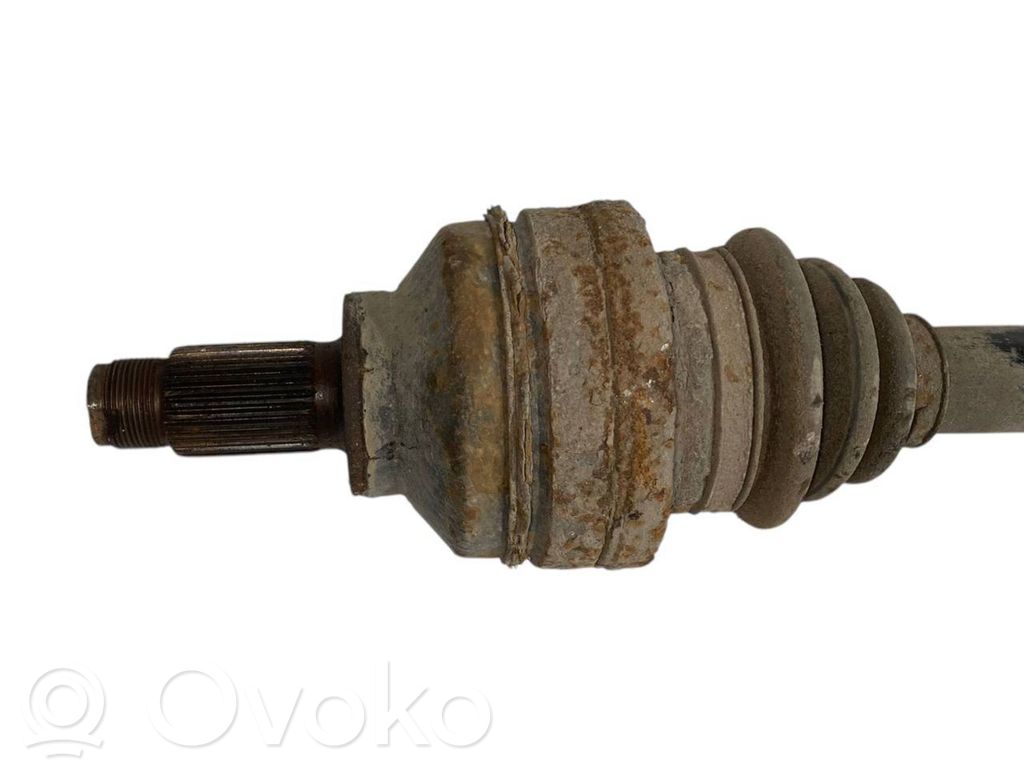 Aizmugurējā pusass