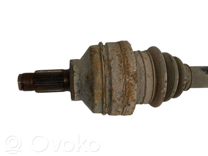 Aizmugurējā pusass