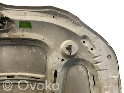 Dzinēja pārsegs (vāks)