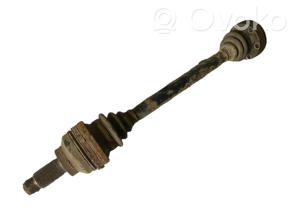 Aizmugurējā pusass