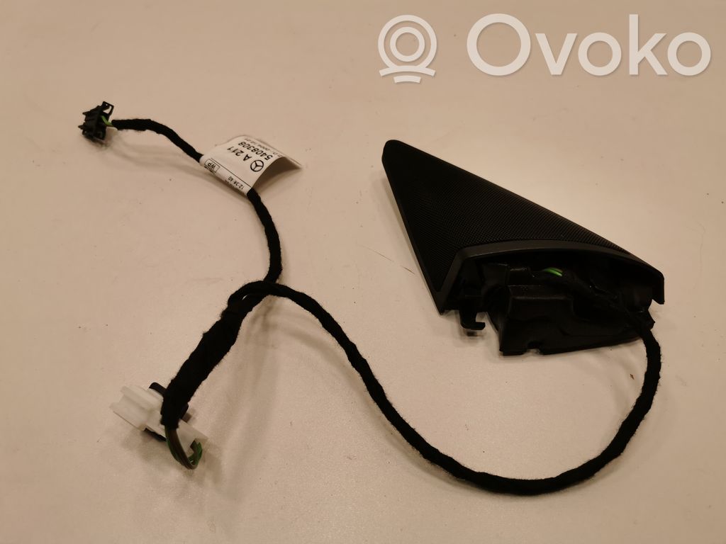 Skaļrunis (-i) priekšējās durvīs