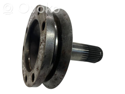 Aizmugurējā pusass