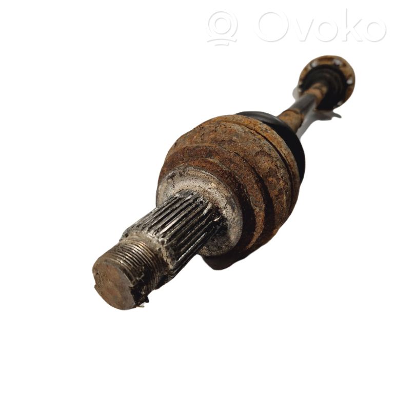 Aizmugurējā pusass