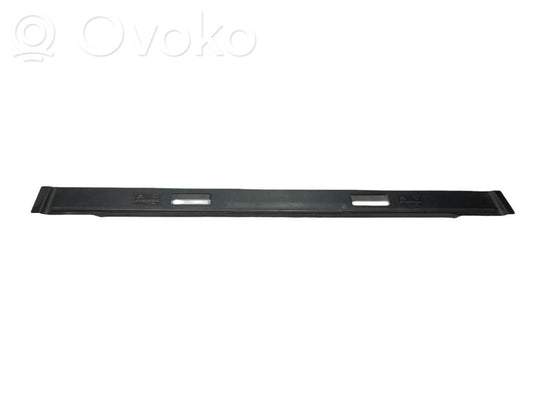Trunk sill trim
