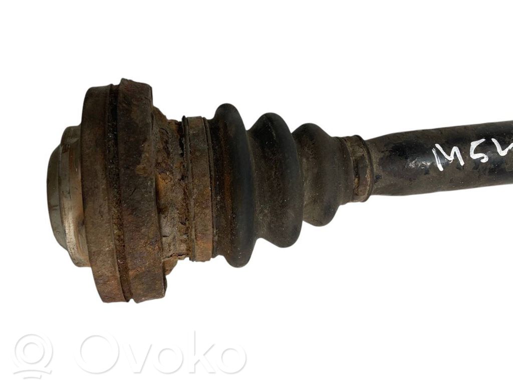 Aizmugurējā pusass