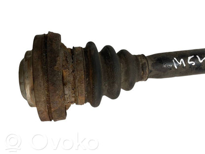 Aizmugurējā pusass