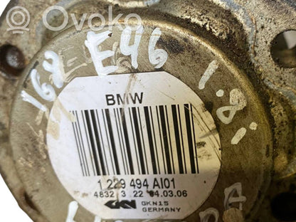 Aizmugurējā pusass