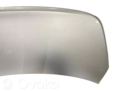 Aizmugurējais pārsegs (bagāžnieks)