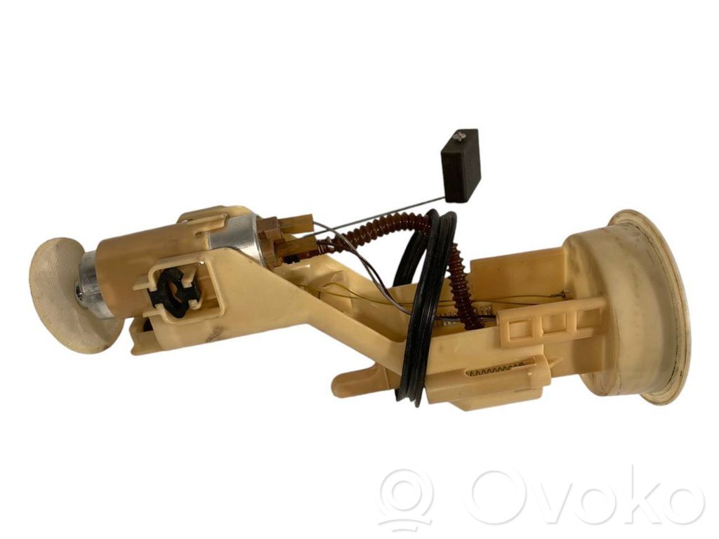 Fuel pump (in the fuel tank)