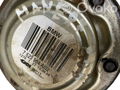 Aizmugurējā pusass