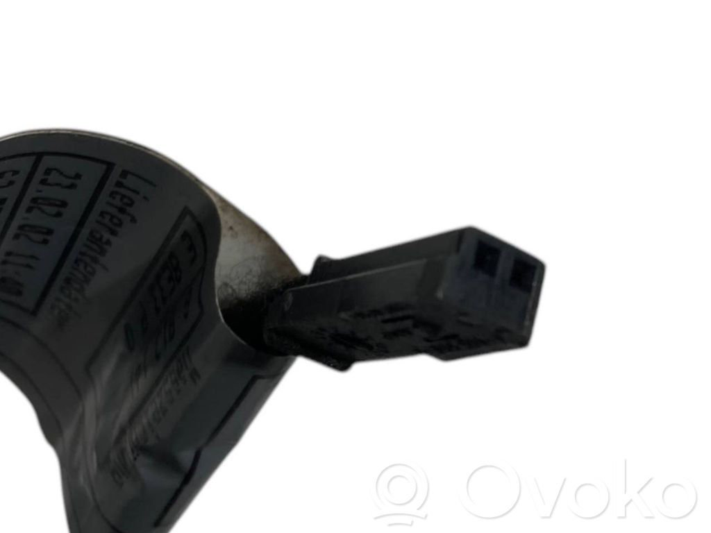 Cita veida aizmugurē durvju dekoratīvās apdares detaļas