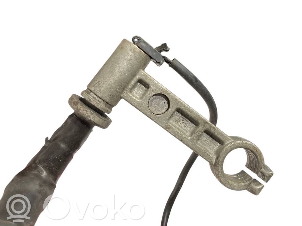 Plusa vads (akumulatora)