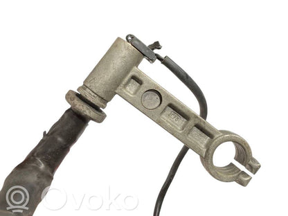 Plusa vads (akumulatora)