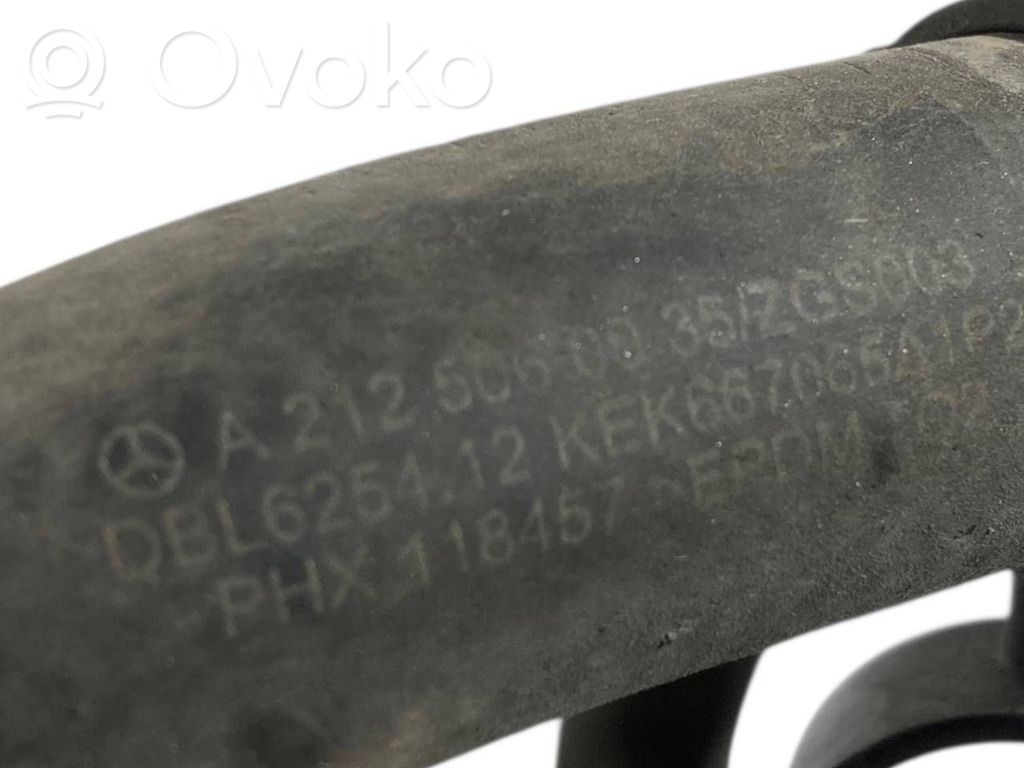 Elektriskais cirkulācijas sūknītis