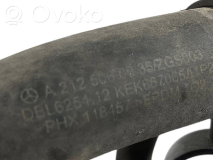 Elektriskais cirkulācijas sūknītis