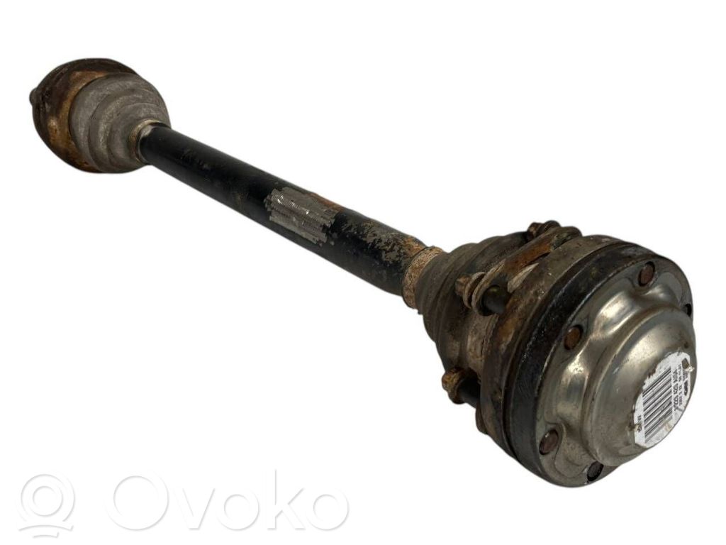 Aizmugurējā pusass