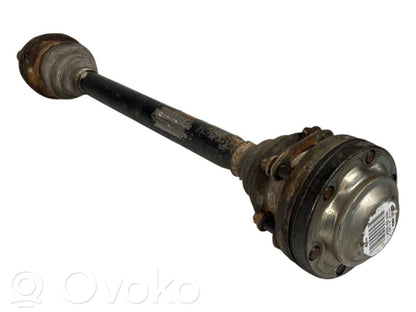 Aizmugurējā pusass