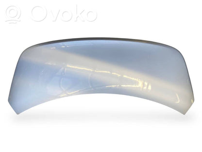 Aizmugurējais pārsegs (bagāžnieks)