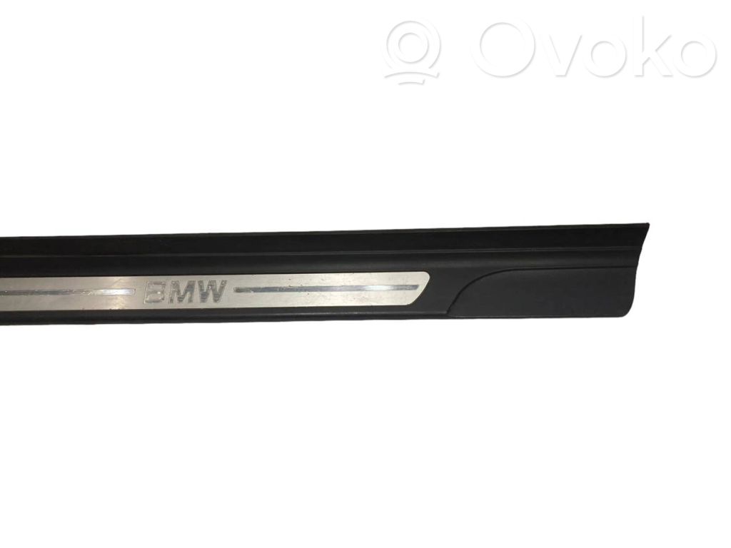 Front sill trim (inner)