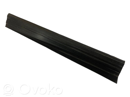 Rear door sill trim (external)