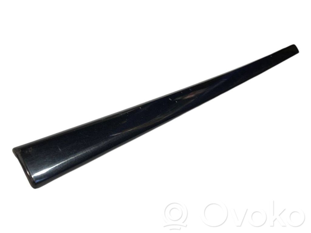 Front door decorative trim (molding)