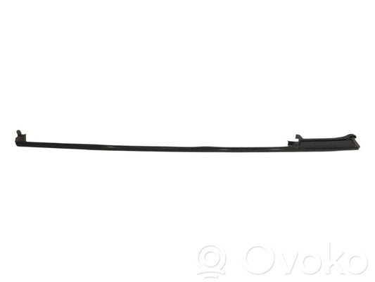 Rear door glass trim