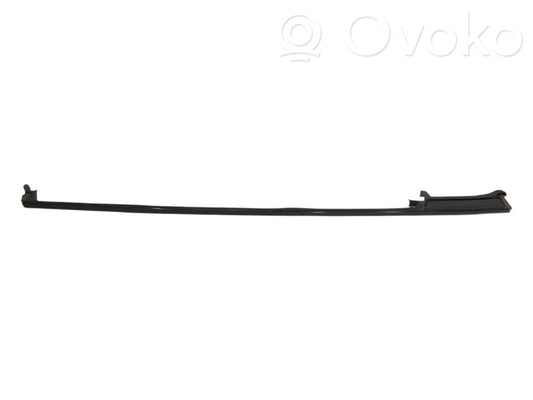 Rear door glass trim