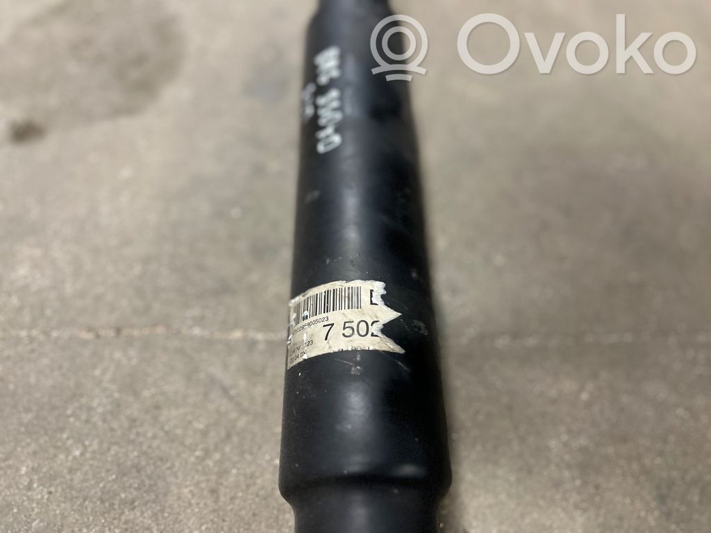 Aizmugurējais kardāns