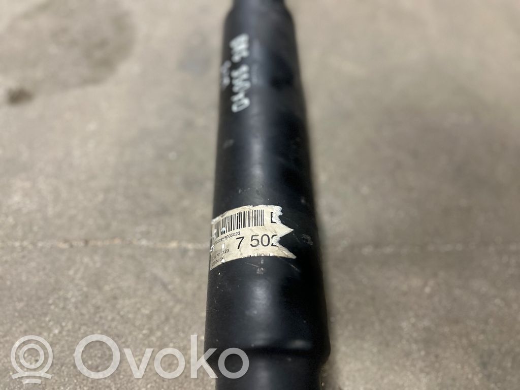 Rear cardan shaft